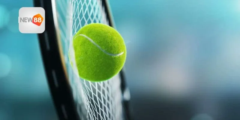 Dữ liệu then chốt từ việc cá cược tennis 